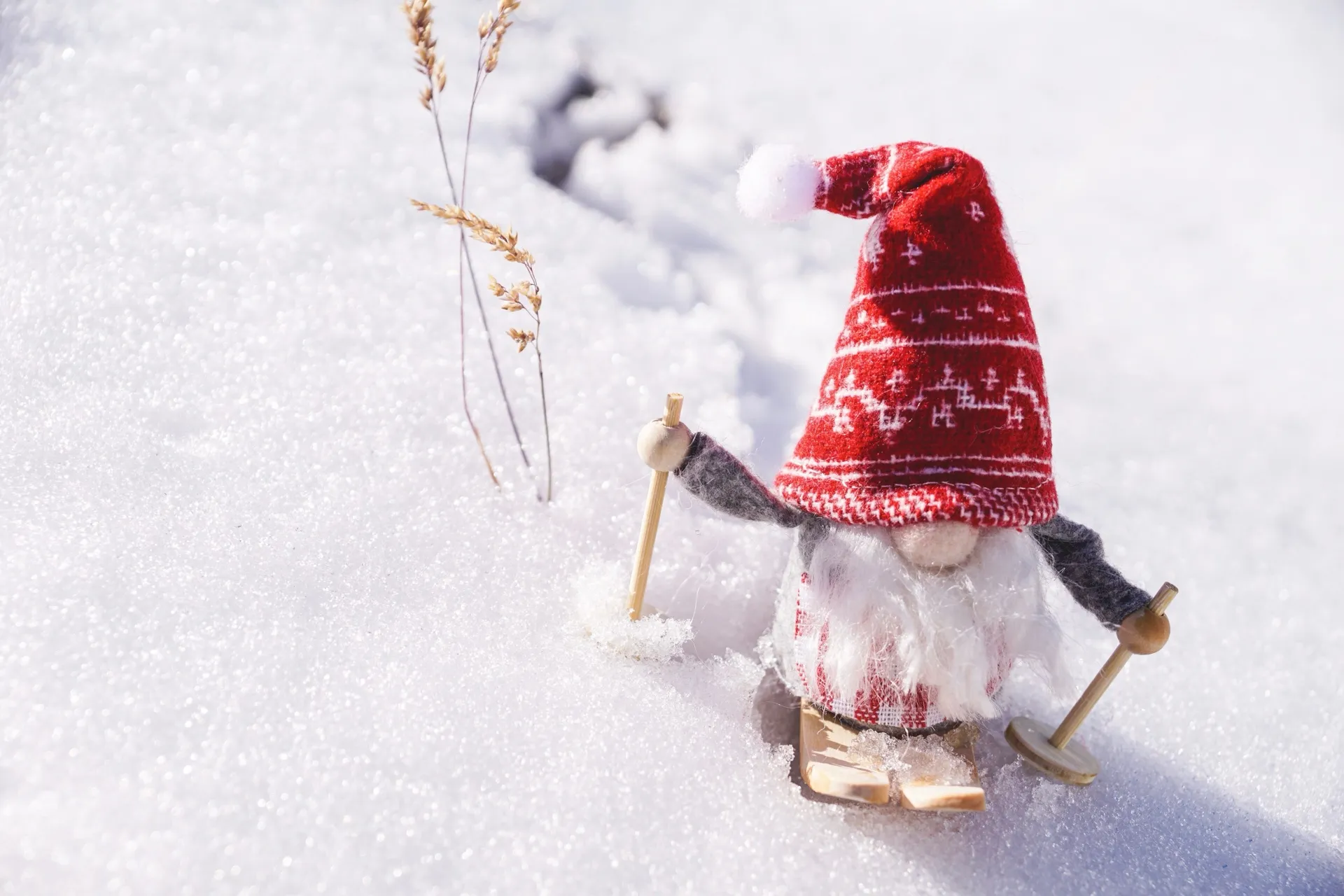 A toy gnome in a red knitted hat skiing through snow