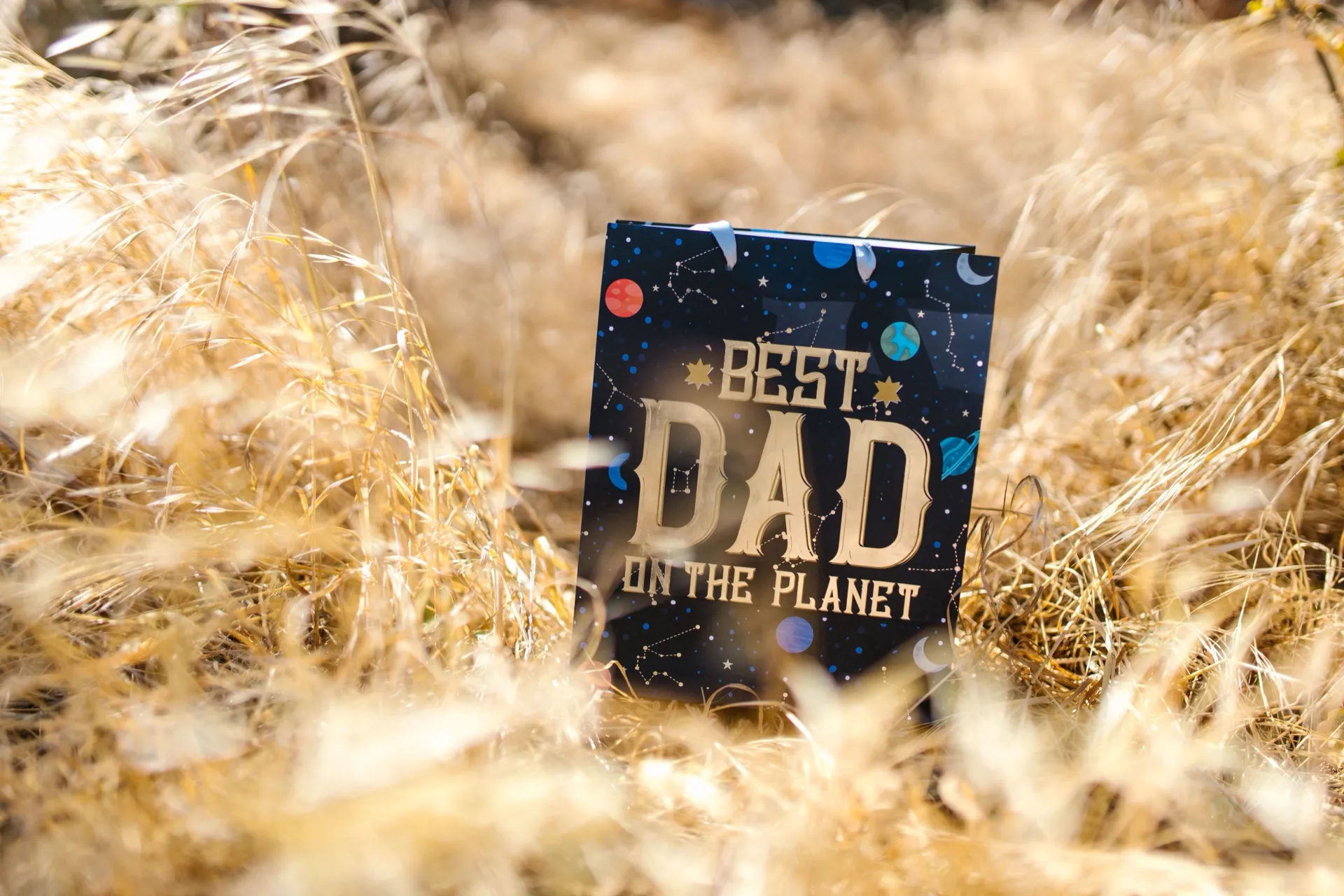 A Best Dad on the Planet gift bag in golden grass